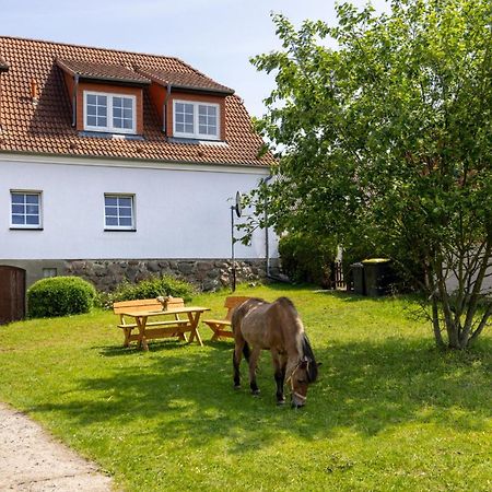 Ferienwohnung "Flori'S Ponyhof" Kröpelin Exteriér fotografie