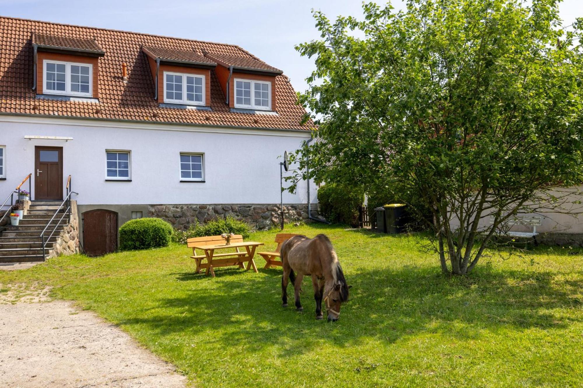 Ferienwohnung "Flori'S Ponyhof" Kröpelin Exteriér fotografie